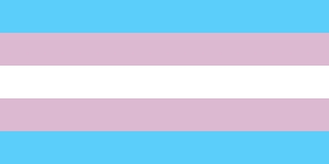 transgenderprideflag.jpg